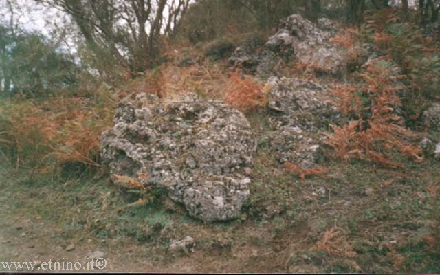 3 view during excursion.jpg