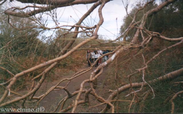 8 group through ginestra.jpg